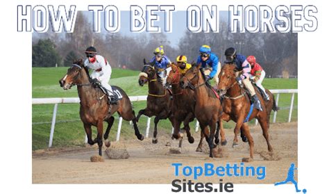 Online Horse Betting CO — How To Bet On Horses In Colorado.